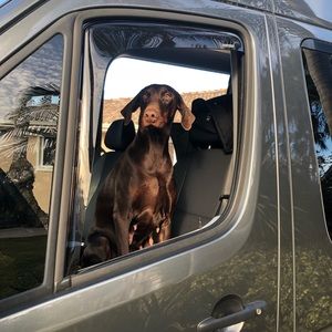 Meet your Posher, Vicky